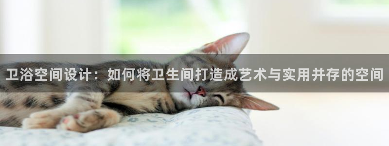 金年会娱乐
