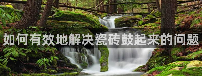 金金年会