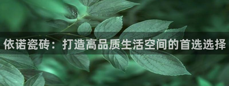 金年会app下载官网