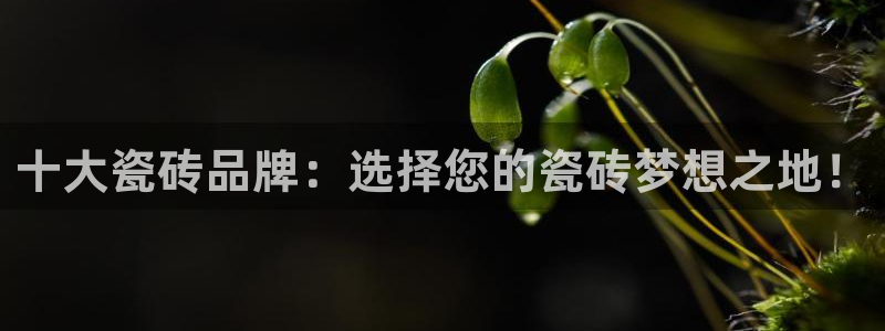 金年会APP安装下载