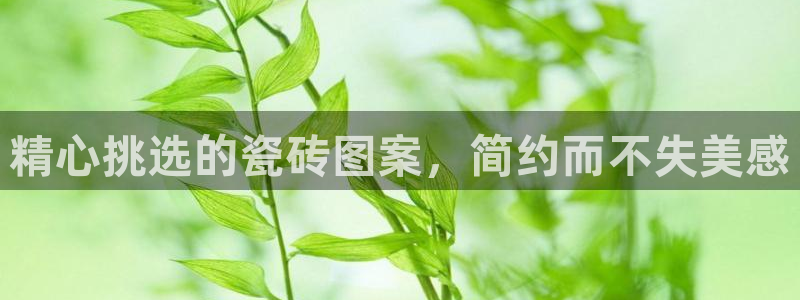 金年会金字招牌