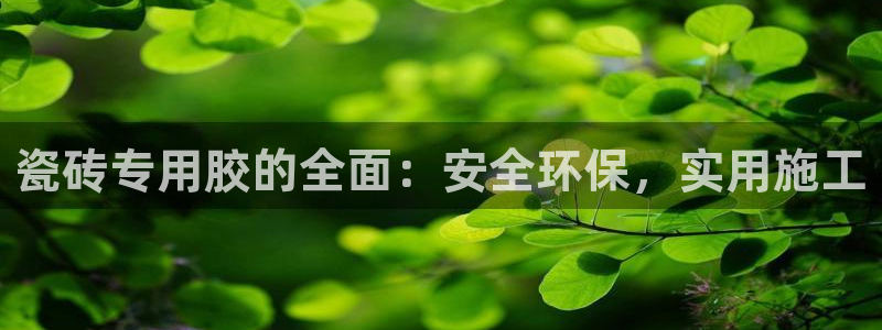 金年会体育和金年会