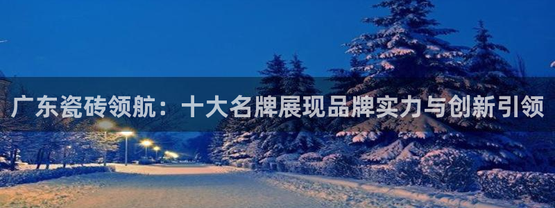 金科年会图片