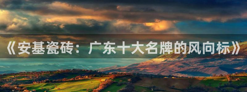 金年会app