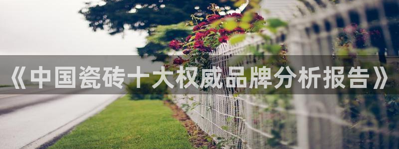 年会金