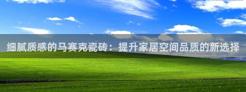 亚博金年会