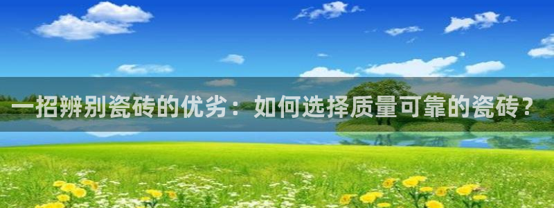 金年会国际