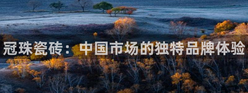 金年会拼音