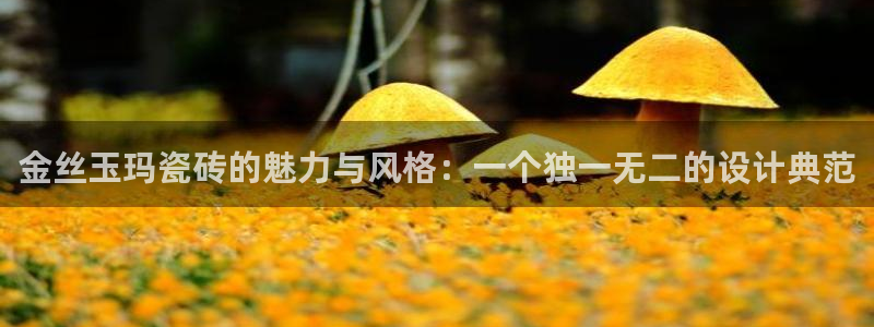 金年会体育app下载