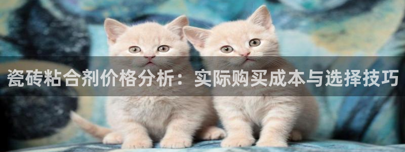 金年会提款