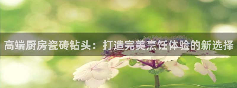 金年会官方客服电话