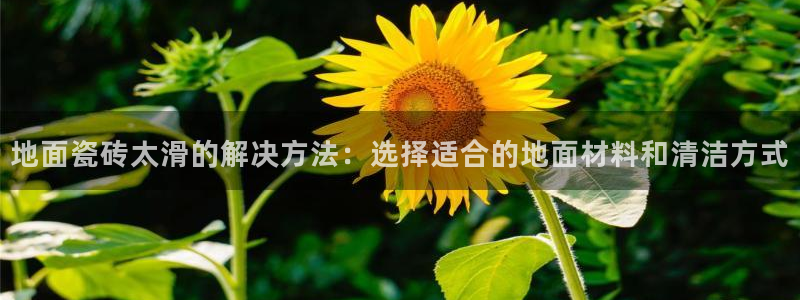 澳门金年会棋牌