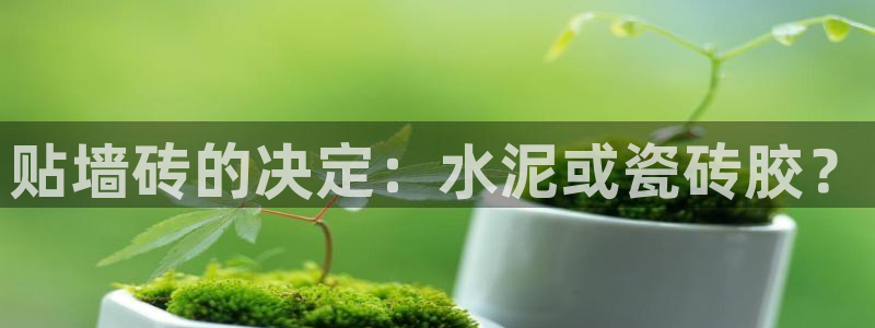 金年会推荐