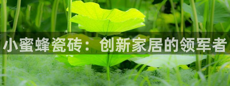 金年会综合APP