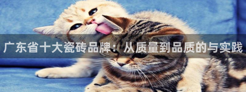 金年会金字招牌信誉