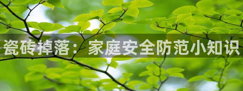 金年会APP黑钱