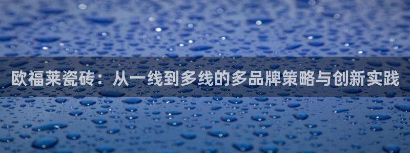 金年会活动策划
