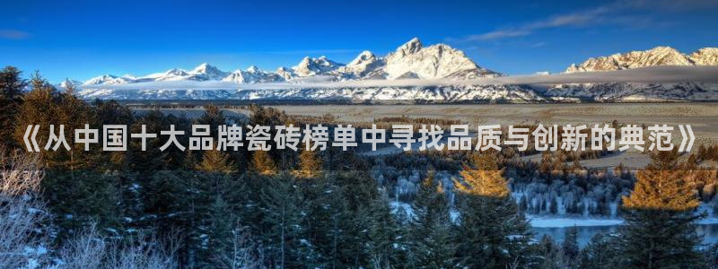 金诺利年会