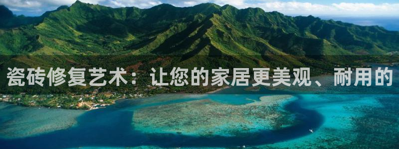金实年会