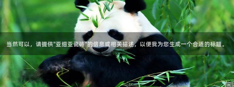 金顶年会