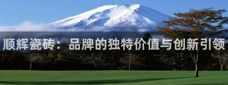 金年会平台是不是大台子