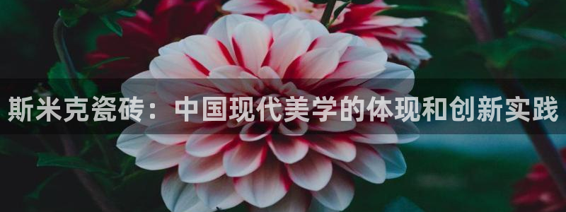 金诺利年会