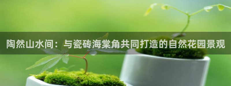 金年会APP黑钱