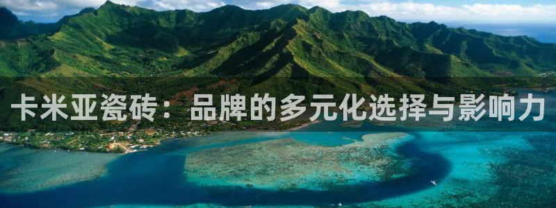 金进年会