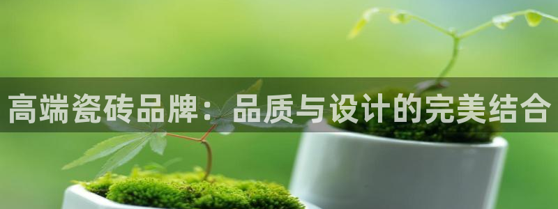 金年会在线
