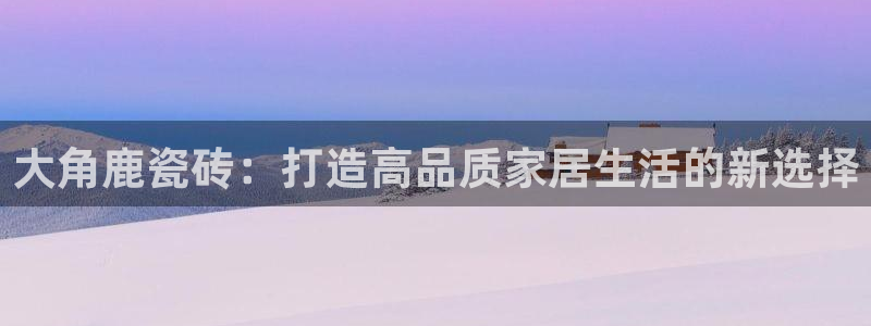 金实年会
