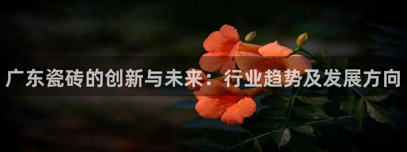 金年会入口网站
