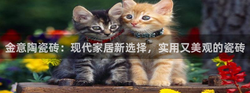 金年会赞助西甲