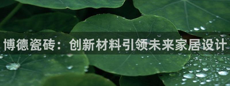 金年会 平台