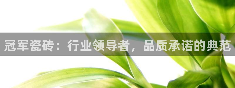 金辉城年会视频