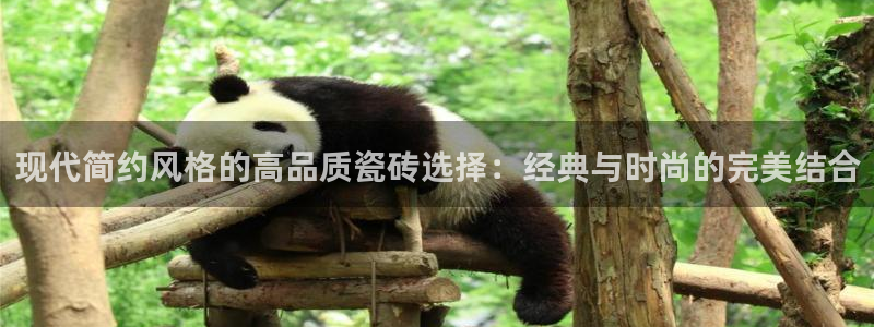 金年会娱乐下载app