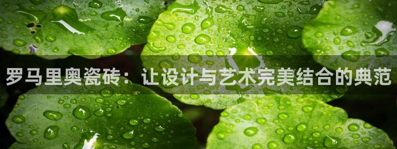 金年会官方网站下载