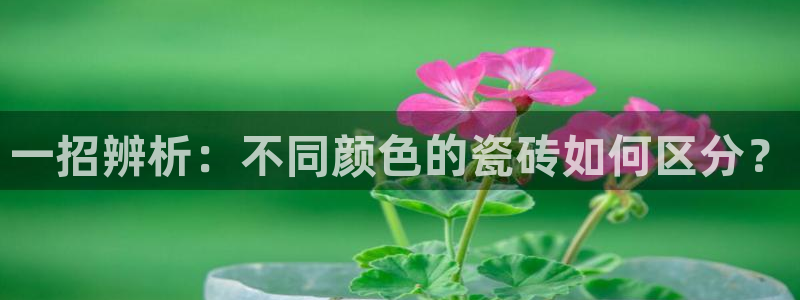 金年会官方入口