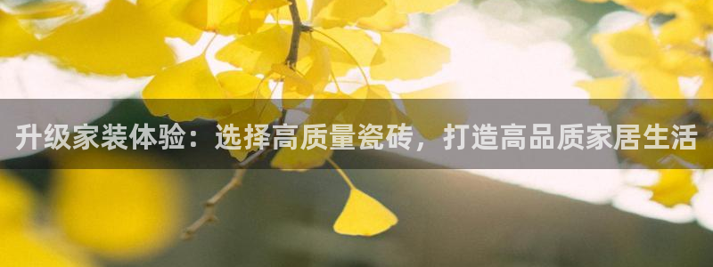 金年会在线下载