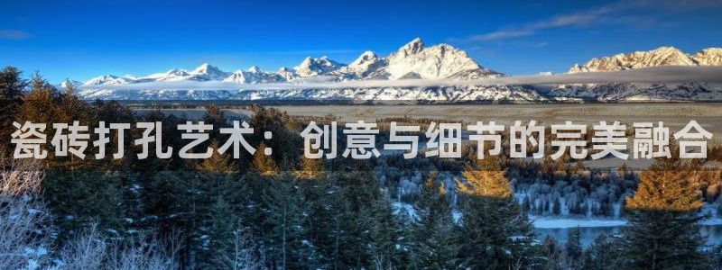 金年会体育app下载