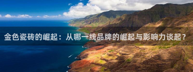 金年会平台游戏