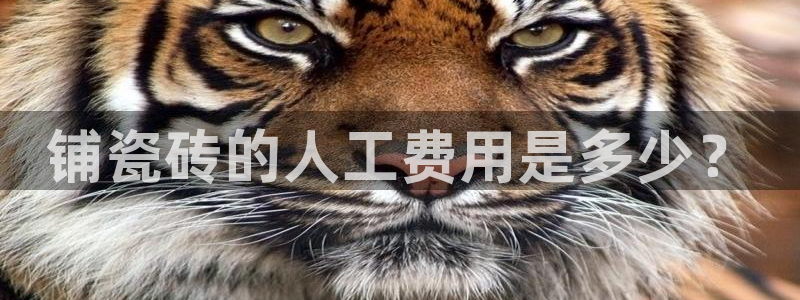 金年会是真的吗