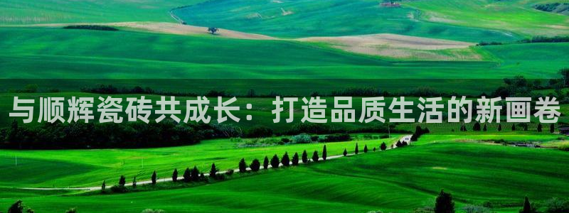 金年会是正规的吗