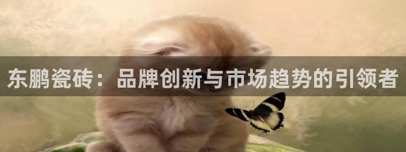 金年会 中国 金年会