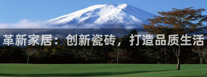 金年会平台包赔