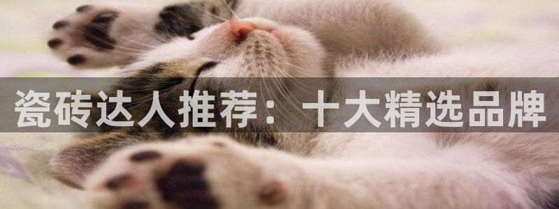 澳门金年会棋牌