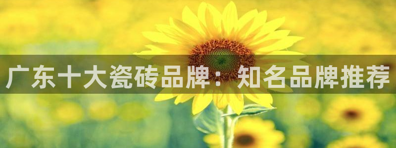 金年会体育app官网