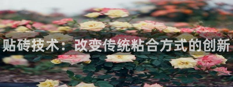 金年会下载官方