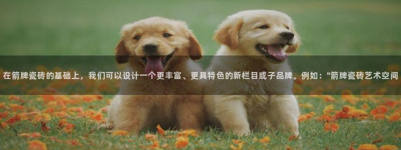 金年会6766澳门联合